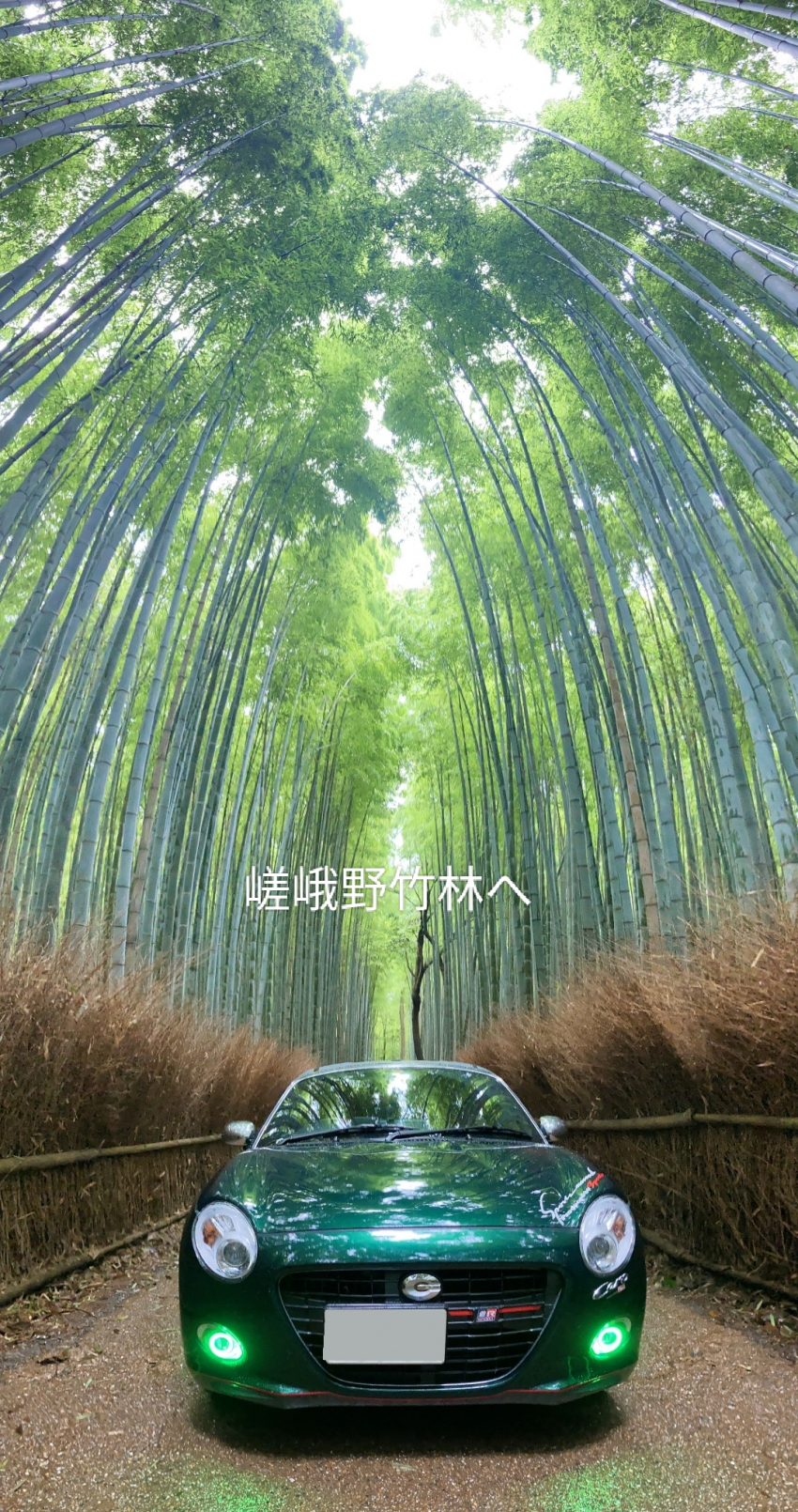 photo
