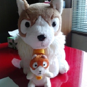 jackjackyさん