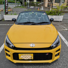 ぶるーすありさん