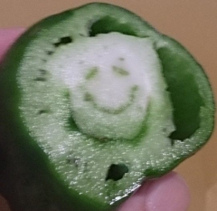 はましぎさん